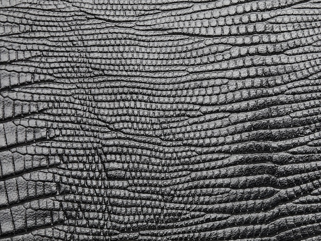 Genuine black snake skin leather texture