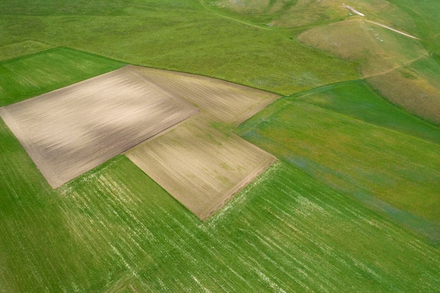 The geographical composition of the cultivated fields