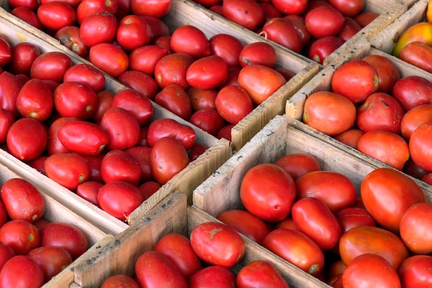 Foto composizione geometrica con cassette di pomodori alla bancarella del mercato all'ingrosso. città di san paolo, brasile