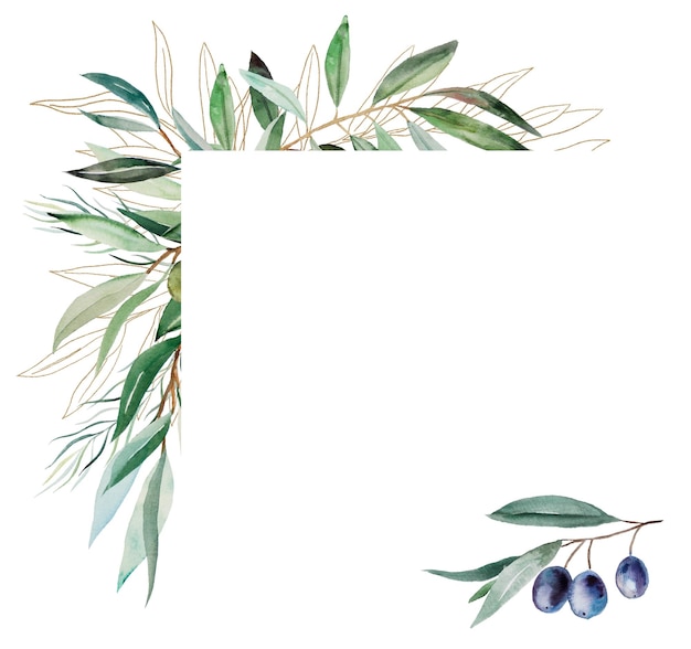 Geometric frame made of watercolor olive twigs with leaves and fruits wedding illustration