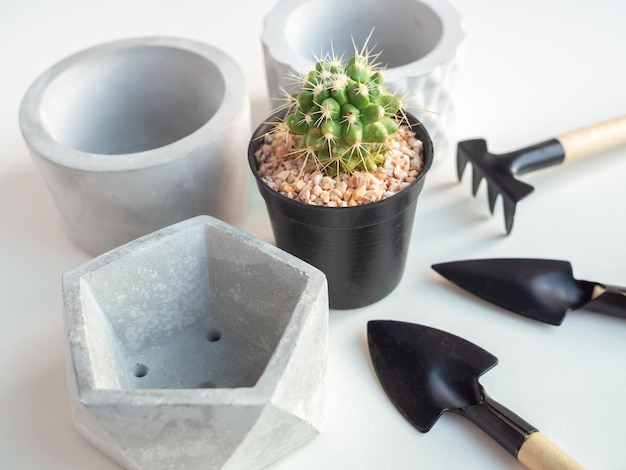 Geometrische betonnen plantenbak met cactusplant en tuingereedschapset