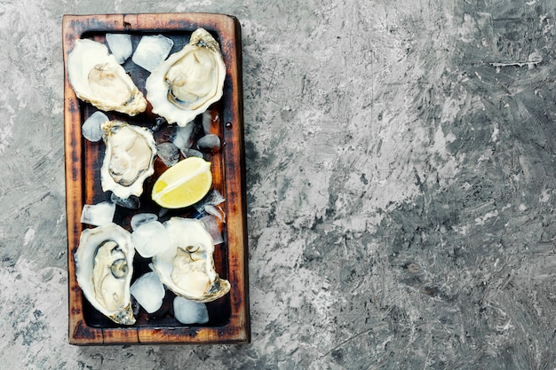 Geopende oesters op snijplank