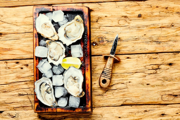 Geopende oesters op snijplank