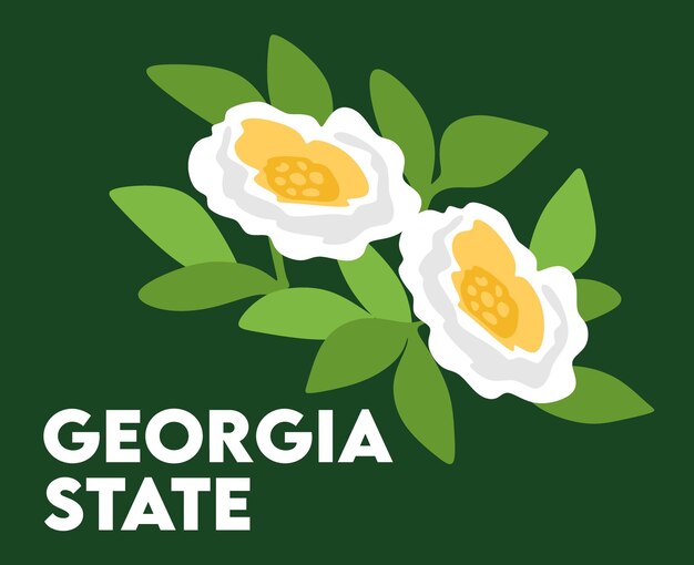 Photo georgia state united states of america