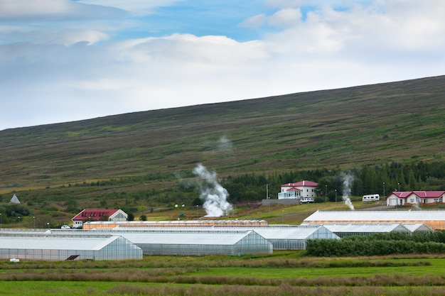 Geothermal greenhouses in the Northern Iceland