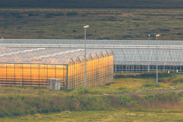 Geothermische kassen in noord-ijsland