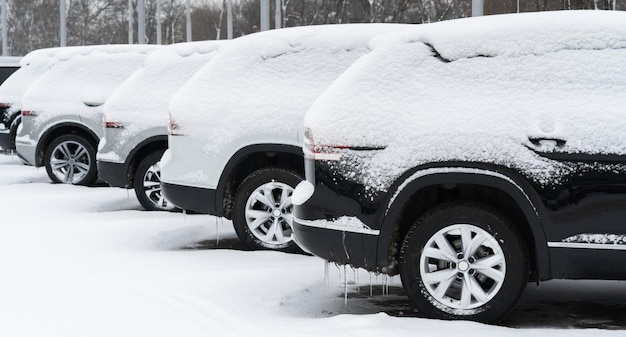 Geparkeerde auto's bedekt met sneeuw