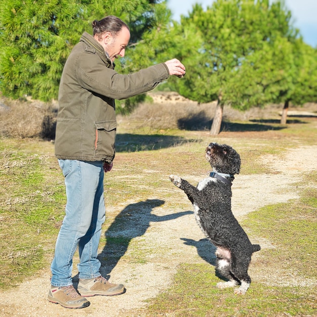 Gepensioneerde man speelt met zijn Spaanse waterhond in het veld.