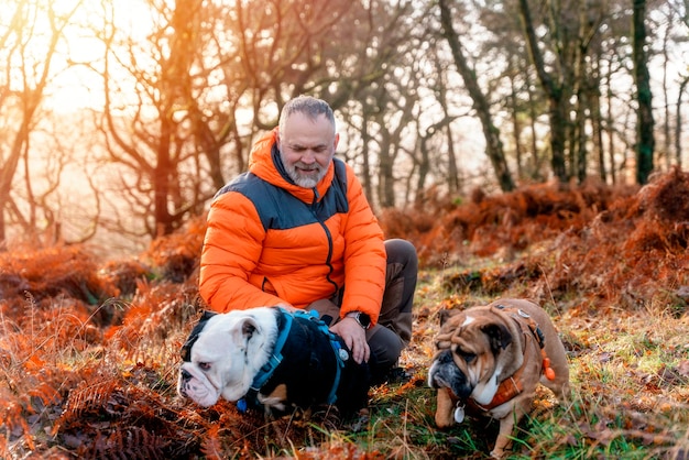 gepensioneerde met Engelse buldoggen in het bos gaan wandelen in Peak District