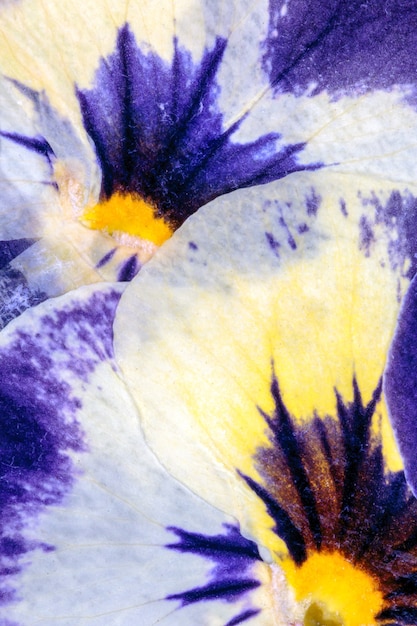 Foto geperst bloemen abstract