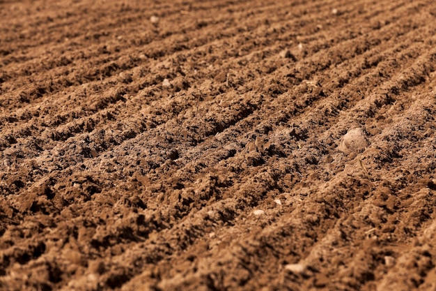 Geploegd land voor granen