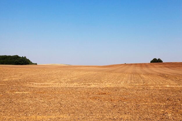 Geploegd land zomer