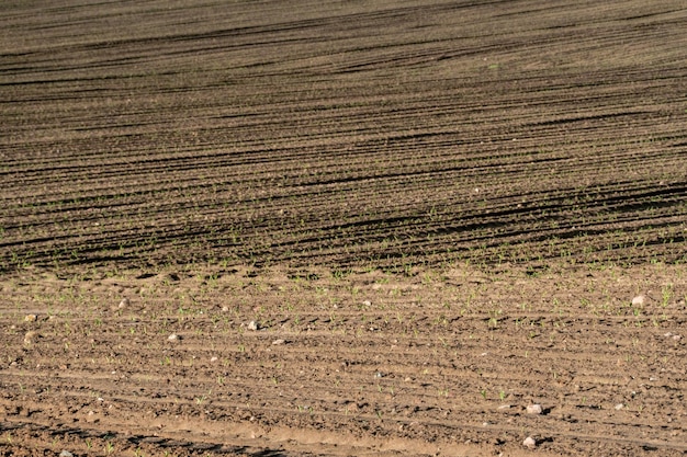 Geploegd landbouwveld Een ecologisch schone plaats voor het verbouwen van graangewassen