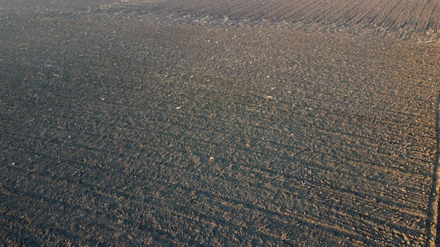 Geploegd veld en bomen zonder bladeren verlicht door zonlicht op zonnige herfst lentedag bewerkt landveld c