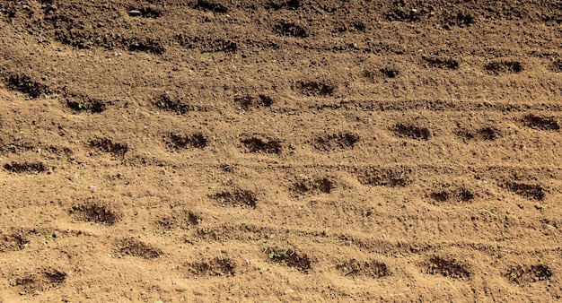 Geploegd veld met sporen in zicht