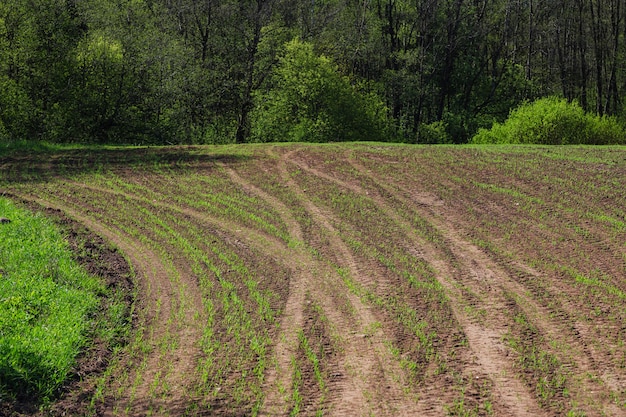 Foto geploegd veld met tractorsporen in de lente