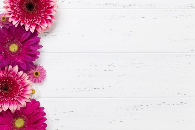 Foto gerbera bloemen