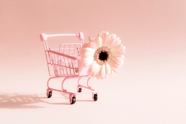 Gerbera flower in small shopping trolley on pastel pink background