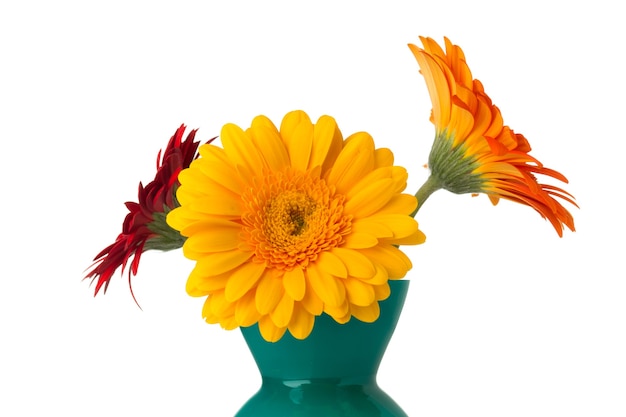 Gerbera flower on the vase, isolated white surface.