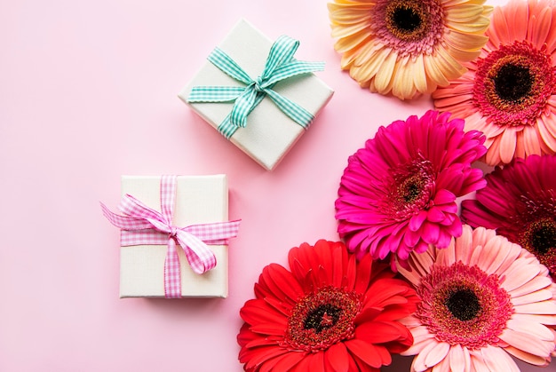 Gerbera flowers and gift boxes on a pink