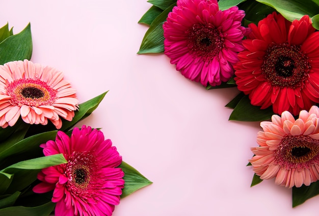 Gerbera  flowers  on a pink pastel table. Top view