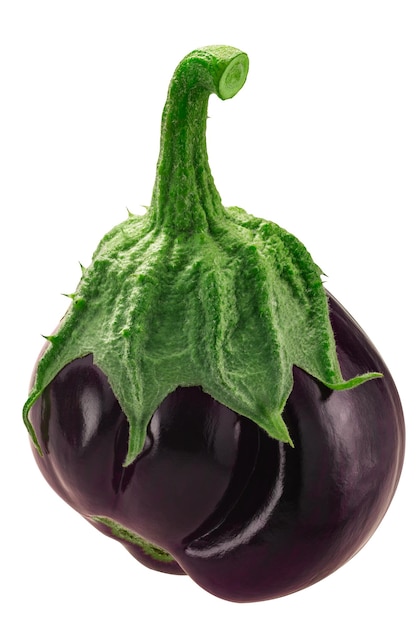 Geribbelde aubergine of aubergine Solanum melongena fruit geheel geïsoleerd