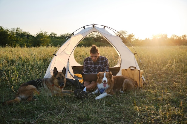 German and Australian Shepherds on vacation at a campsite near tent with male owner at sunset