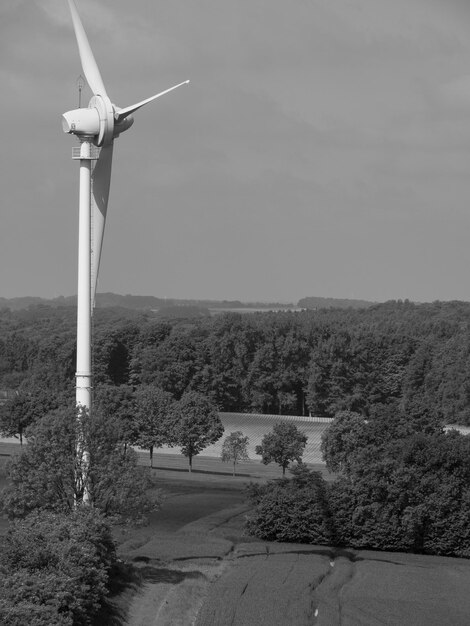 Foto il baumberge tedesco