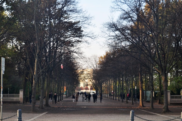 German and travelers people walking in garden and public park at Berlin city in Berlin Germany