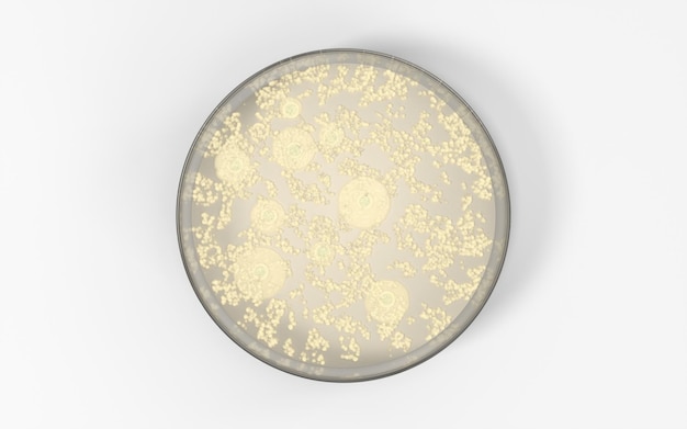 The germs in the petri dish 3d rendering