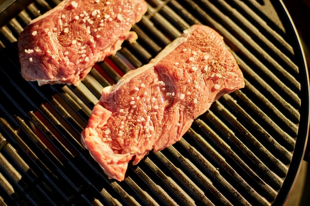 Geroosterd vlees op de gasgrill op barbecue buiten in de achtertuin, gegrilde steak vlees, zomer familie picknick, eten op de natuur.