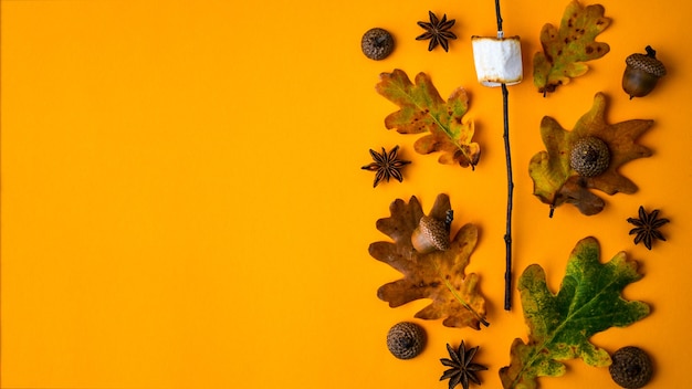 Geroosterde marshmallow op stok met herfstbladeren, anijs, noten. Herfst compositie, Ornament voor Thanksgiving. Bovenaanzicht, plat gelegd
