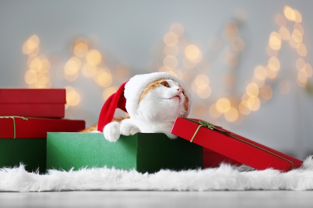 Geschenkdoos met schattige kat in kerstmanhoed tegen wazige kerstverlichting