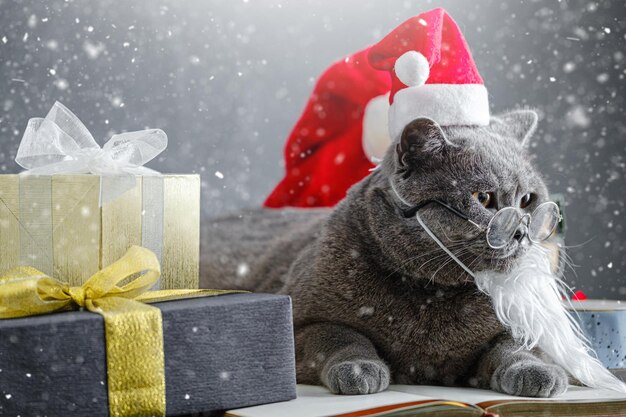 Geschenkdoos naast een schattige kat met een kerstmanhoed op een achtergrond van wazige kerstverlichting en geschenken onder de vallende sneeuw