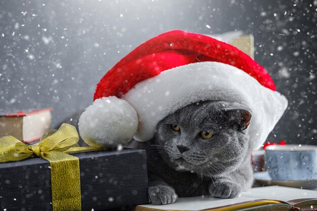 Foto geschenkdoos naast een schattige kat met een kerstmanhoed op een achtergrond van wazige kerstverlichting en geschenken onder de vallende sneeuw