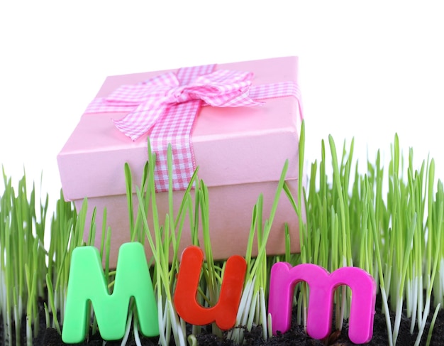 Geschenkdoos voor mama op gras close-up