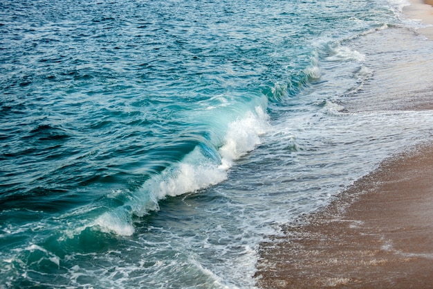 Geschuimde golven die in het strand breken