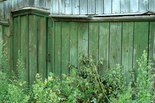 Gesloten, met gras bedekte deuren of wicket in hout groen hek op het platteland. Landelijke scène.