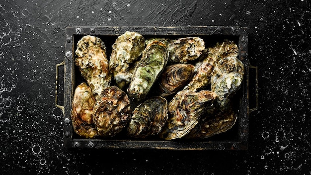 Gesloten verse oesters op een dienblad op een zwarte stenen achtergrond Top uitzicht