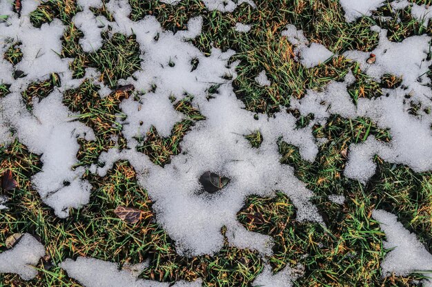 Gesmolten vuile sneeuw in de natuur op groen gras