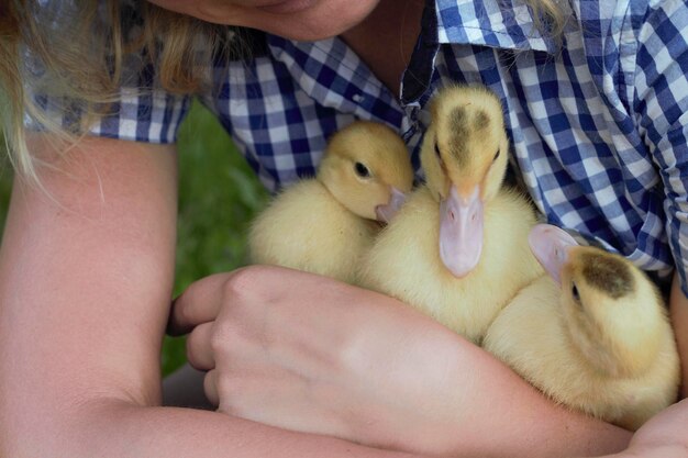 Foto gesneden afbeelding van een vrouw met eendjes