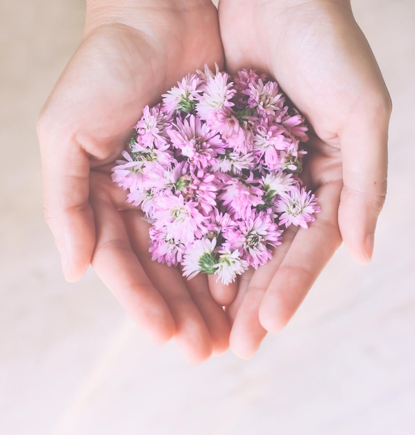 Gesneden afbeelding van een vrouw met roze bloemen