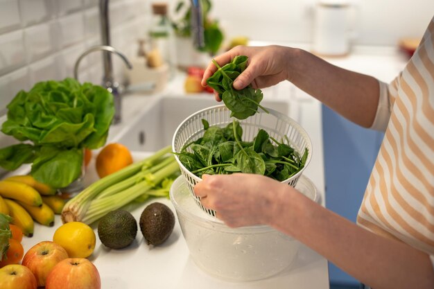 Foto gesneden afbeelding van vrouwelijke handen die verse salade van groene spinazie koken, nuttig voedsel voor een goede gezondheid