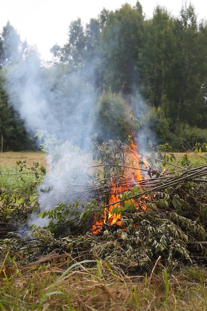 Gesneden boomtakken verbranden op het veld