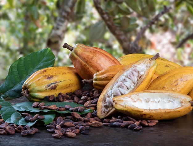 Foto gesneden cacao-vruchten en rauwe cacao-bonen met png transparante achtergrond