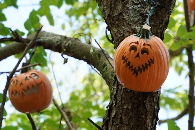 Foto gesneden halloween-pompoen die aan een boom hangt