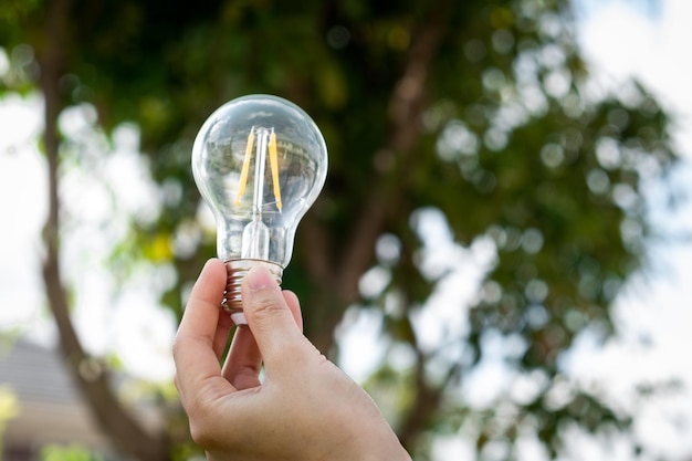 Gesneden hand die een gloeilamp tegen bomen houdt