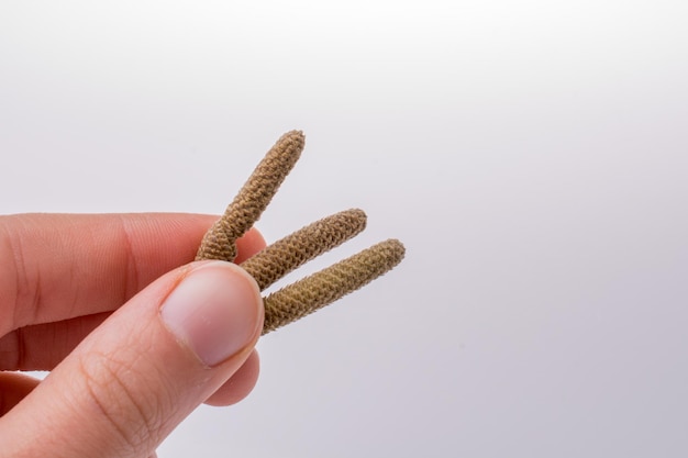 Foto gesneden hand met dennenkegels tegen een witte achtergrond