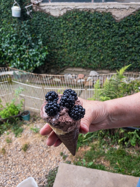 Foto gesneden hand van de persoon die de plant vasthoudt