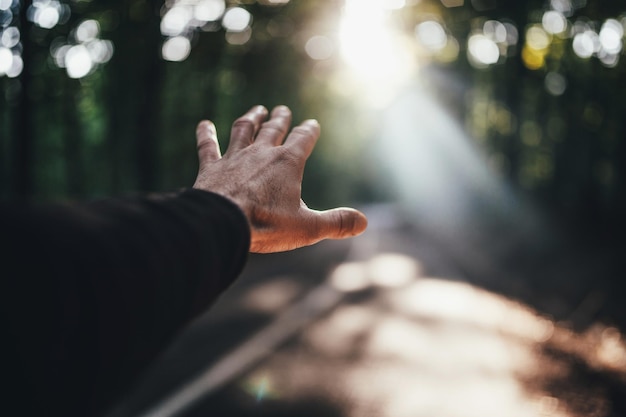 Foto gesneden hand van een man die gebaren maakt tegen het zonlicht dat door bomen in het bos stroomt